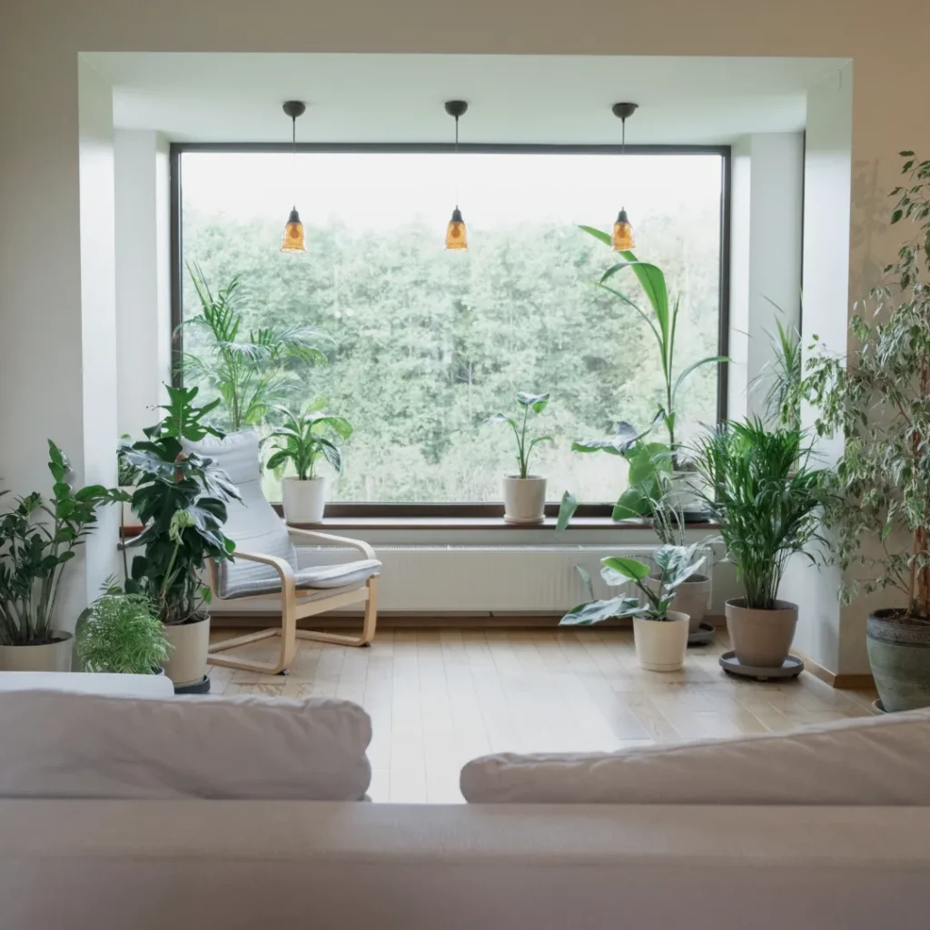 Σύγχρονο σαλόνι γεμάτο φυτά εσωτερικού χώρου και φυσικό φωτισμό, οικολογική ανανέωση σπιτιού
