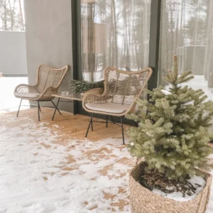 Μοντέρνα βεράντα σπιτιού καλυμμένη με χιόνι, διακοσμημένη με άνετες πλεκτές πολυθρόνες rattan και μικρά χριστουγεννιάτικα έλατα σε καλάθια, αποτυπώνοντας τη χειμερινή ατμόσφαιρα.