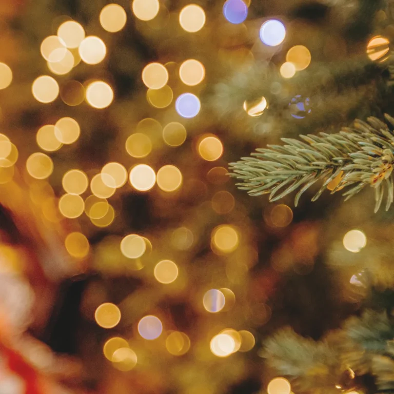 Κοντινό πλάνο σε χριστουγεννιάτικα λαμπάκια και κλαδιά έλατου για γιορτινή ατμόσφαιρα