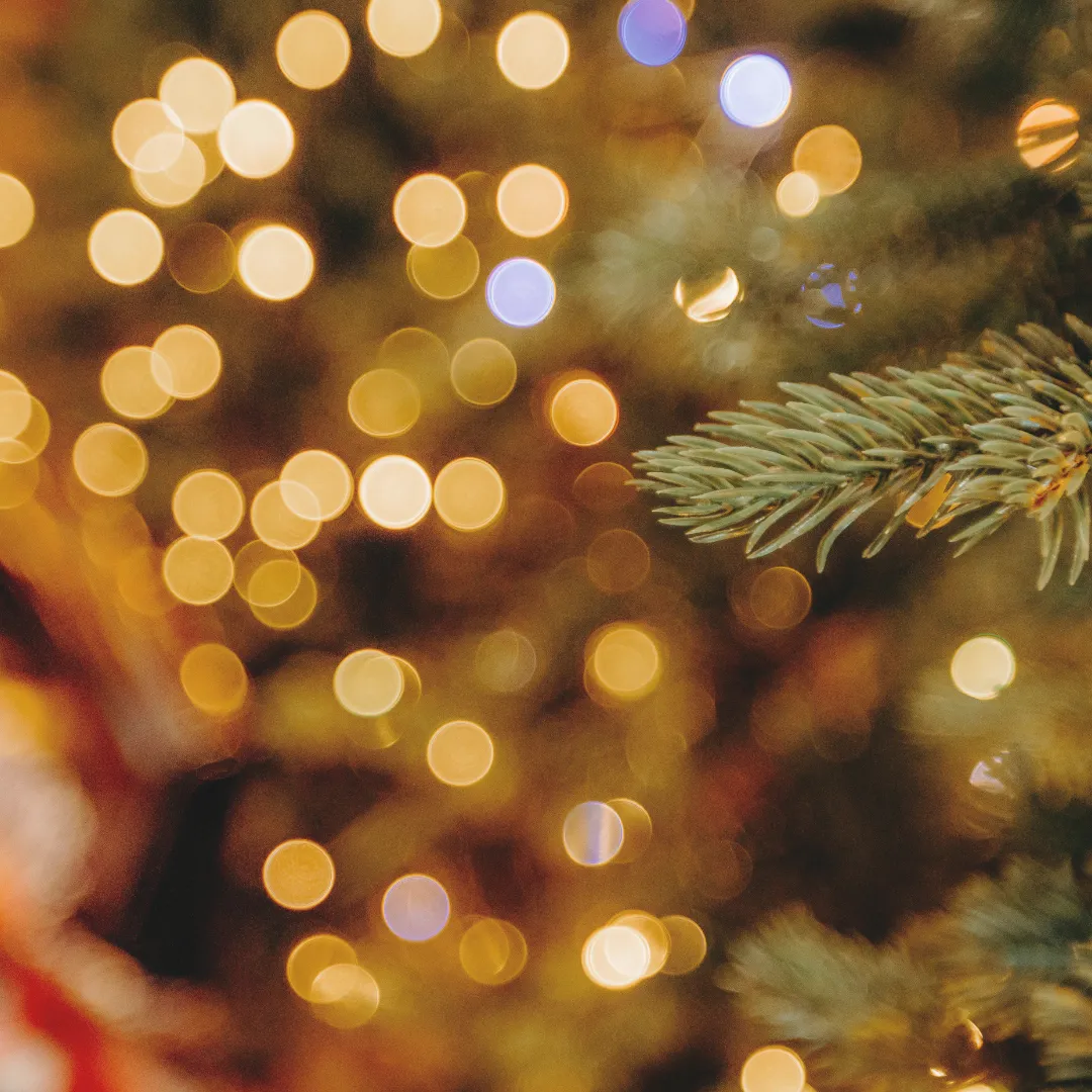 Κοντινό πλάνο σε χριστουγεννιάτικα λαμπάκια και κλαδιά έλατου για γιορτινή ατμόσφαιρα