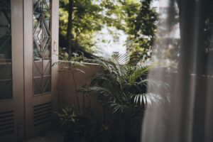 φυτά σε μπαλκόνι - Αρχιτεκτονική και Διακόσμηση